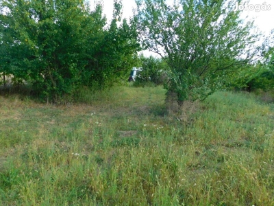 Balatonszemesen telek Balatontól 900 méterre!