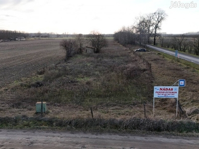 Cegléd 5.600m2 telek Mizsei út 62. Ipariáram, ásott kút !