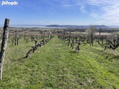 Eladó Külterületi telek Balatonfüred