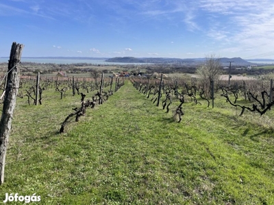 Eladó Külterületi telek Balatonfüred