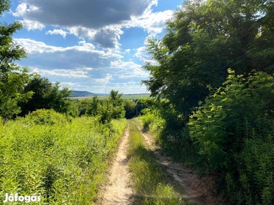 Eladó panorámás építési telek Bábonymegyeren