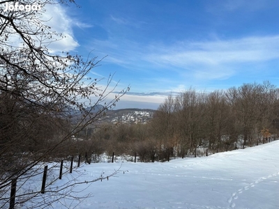 Eladó Telek, Mátraszentimre 149.990.000 Ft