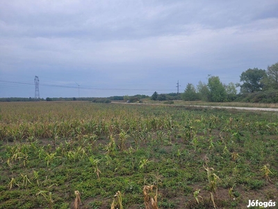 Alsózsolca ipari parkban (Maip) 2,05 Ha, - Alsózsolca, Borsod-Abaúj-Zemplén - Telek, föld