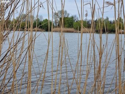 Horgásztelek a Holt-Tisza partján eladó - Tiszaug, Bács-Kiskun - Telek, föld