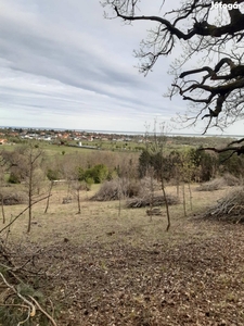 Panorámás külterületi terület - Balatongyörök, Zala - Legelő