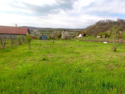 Szekszárd, Szőlőhegy Virág völgy Kert eladó - Szekszárd, Tolna - Telek, föld