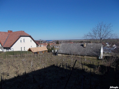 Szekszárdon azonnali vételi lehetőséggel 2131nm szőlő eladó - Szekszárd, Tolna - Szőlőskert-pince