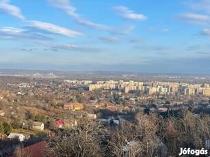 3.kerületben családi ház örök panorámával