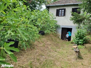 Lakóövezeti pince, présház, Zeg-től 16km