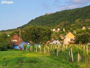 Somlón szőlő és pince eladó