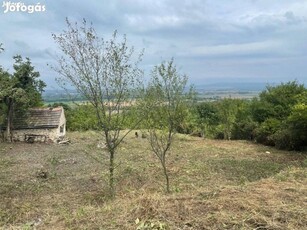 Szent György hegy nyaraló pince szőlő telek