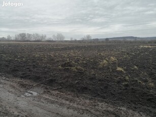 Tata Fényes-tanösvény melletti több mint 1 hektáros szántó eladó!