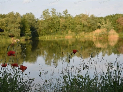 Kiadó újszerű állapotú ház - Vác