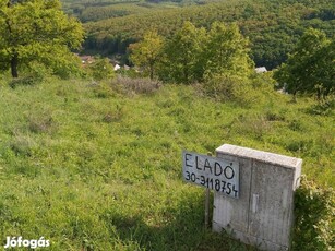 Eladó összközműves, belterületi telek Szendehelyen