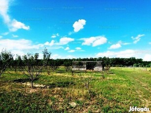 Eladó Sződ határában, 150000 m2-es mezőgazdasági terület