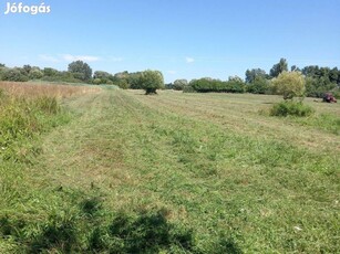 Somogy megyei birtok, farm,legelő