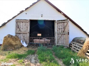 Szeghalomhoz közeli major jó állapotú épületekkel eladó