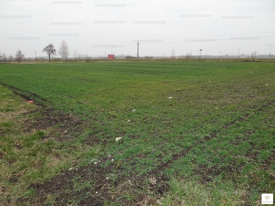 Eladó lakóövezeti telek - Balatonkeresztúr, Somogy megye