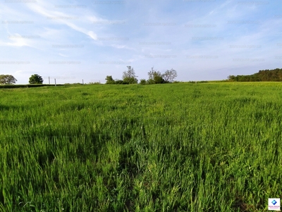 Eladó lakóövezeti telek - Gomba, Pest megye