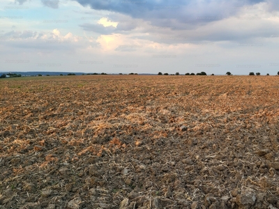 Eladó termőföld, szántó - Nagycenk, Győr-Moson-Sopron megye