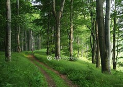 Mocsa, ingatlan, mezőgazd. ingatlan, 118402 m2, 60.000.000 Ft