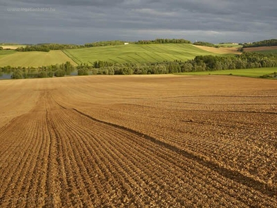 Balatonkenese, ingatlan, mezőgazd. ingatlan, 2864 m2, 5.000.000 Ft