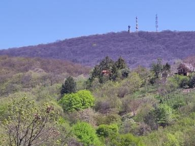 Pécs, Mecsekoldal-Ürög, Eladó panorámás építési telek Pécsett, Ürögben