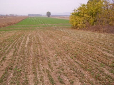 Balatonkeresztúr, ingatlan, ház, 1 m2, 2.500.000 Ft