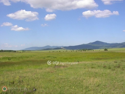 Sopron, ingatlan, mezőgazd. ingatlan, 8662 m2, 28.000.000 Ft