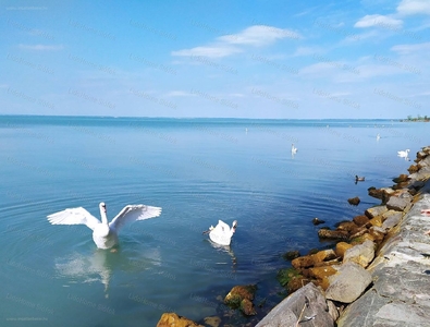 újépítésű, Balatonszéplak, Siófok, ingatlan, lakás, 62 m2, 137.647.125 Ft