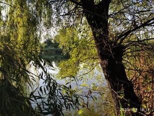 Eladó mezogazdasagi ingatlanSzolnok