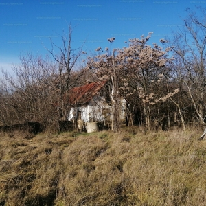 Eladó tanya - Hajdúböszörmény, Nagypród