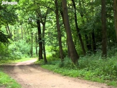 Erdő eladó! - Balatonudvari eladó mezőgazdasági ingatlan