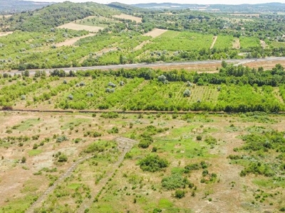 Vác, ingatlan, üzleti ingatlan, 2000 m2, 33.750.000 Ft