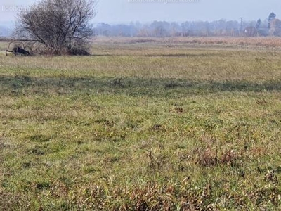 Eladó termőföld, szántó - Balatonkeresztúr, Somogy megye