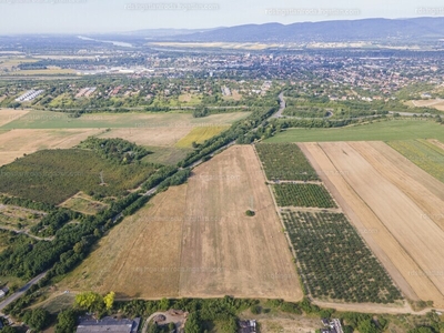 Eladó külterületi telek - Kosd, Cselőtepuszta