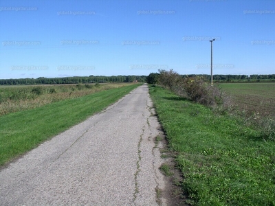 Eladó termőföld, szántó - Kiszombor, Csipkéstanyák