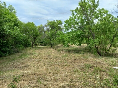 Eladó üdülőövezeti telek - Budaörs, Gerle köz