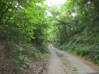 Mindszentkálla, ingatlan, mezőgazd. ingatlan, 23 m2, 26.000.000 Ft