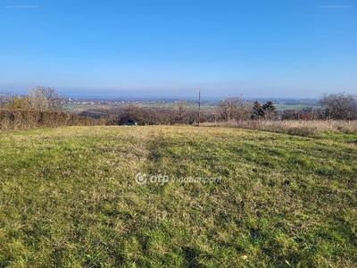 Siójut, ingatlan, mezőgazd. ingatlan, 1510 m2, 5.300.000 Ft