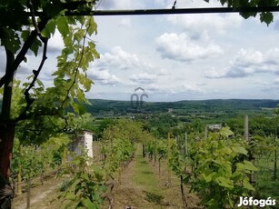 Csodaszép panorámával birtok eladó Zalaegerszeg-Öreghegyen