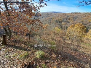 Eladó telek Pécs