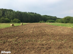 Eladó termőföld Debrecen-Pallagon