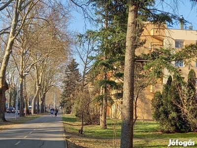 Zalaegerszeg Platánsori téglalakás eladó