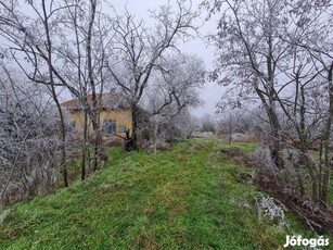 Eladó tanya Tiszavárkony