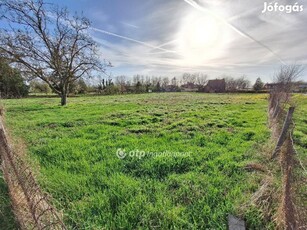 Eladó Telek, Tiszajenő