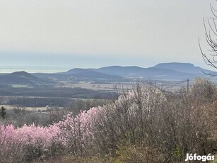 Monoszlón panorámás beépíthető külterület eladó