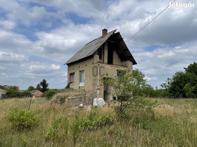 Debrecen, Pacikert utcán, 60 nm-es, felújítandó ház eladó!