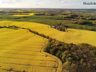 Kecskemét - Felsőcsalános -ban 1,8 HA területen 50 nm HÁZ ELADÓ!