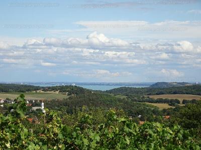 Eladó pince, présház - Pécsely, Veszprém megye